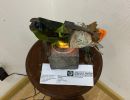 image 13 02 23 11 54