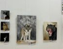 image 13 023 11 54