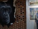 dsc08546 dsc08546